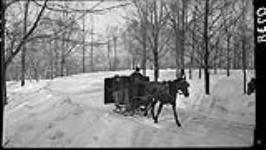 Sleigh on curve, driving up mountain 5 Mar. 1914