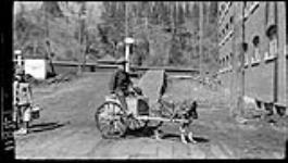 Boy and dog cart at Montmorency Falls 8 Apr. 1915