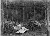 Lumbermen's camp near Revelstoke, [B.C.] 1886