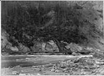 Tote Road, Wapta [Kicking Horse] Valley, B.C 1886