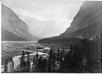 Looking up the Wapta Valley [Kicking Horse], B.C., 2 miles above Field 1886