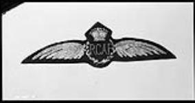 RAF Cap badge & Pilots Wings 10 Jan. 1924