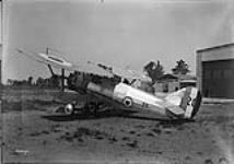 S/L Grandy in Siskin fighter 20 June 1929