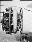 [Jacobs L-6MB engine of Fleet 'Fort' aircraft 3562 of the R.C.A.F., Rockcliffe, Ont., 25 October 1941.]