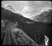 Near Summit Mount, B.C., [1880-1900] 1880-1900