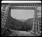 Bridge in Lower Kicking Horse Canyon [B.C.] [1880-1900]