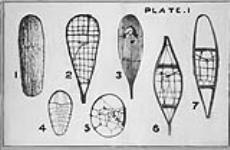 [Styles of snowshoes.] n.d.