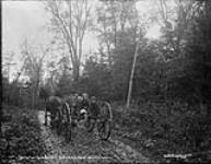 "Coming home from school on a buckboard", Maple Lake Road, Muskoka Lakes, Ont., 1904 1904