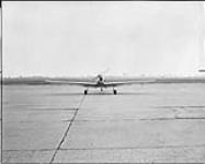 Chipmunk aircraft, front ground view 4 Sept. 1952