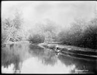 On Skeleton River, Lake Rosseau, Muskoka Lakes, Ont., c. 1890 1890