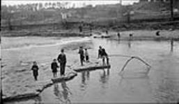 Sucker netting at Lambton, [Ont.], 21 April, 1917 n.d.