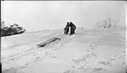 Boys pulling a sleigh up a hill in High Park, [Toronto, Ont.] 25 Dec., 1916 25 Dec. 1916