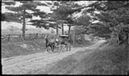 Farmer bringing home a new buggy, [near Lambton, Ont.], 9 June, 1917 9 June 1917