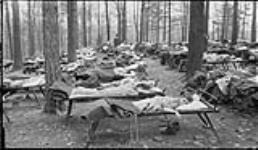 Boys sleeping at Forest School in High Park, [Toronto, Ont.], 7 June, 1917 7 June 1917