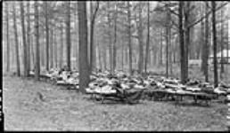 Children sleeping at Forest School in High Park, [Toronto, Ont.], 7 June, 1917 7 June 1917