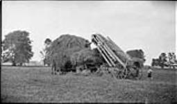 Hay loader at haying time, 13 July, 1918 13 JULY, 1918