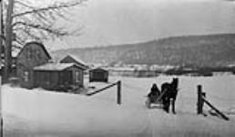 Horse and sleigh and mountains, Lake Station, Vermont 15 Feb. 1916