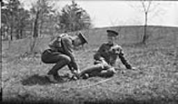 Giles and Crawford fixing spurs in High Park 7 May, 1916