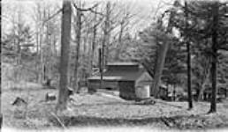 Sap house to make maple sugar at MacLeans 3 Apr. 1916