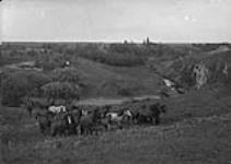 [Scene near Moose Jaw, Sask.] [c. 1909]
