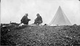 Camp at Rogers Harbor, Wrangell Island, [Alaska], 1914 1913 - 1914