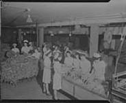 Rock City Tobacco workroom, Rock City, [N.Y.] 1947