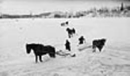 Cleaning off snow for ice cutting, Grenadier Pond 24 Jan. 1920