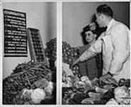 Co-operative store sales clerk, vegetable display. Toronto, Ont. 1947 Sept. 1947