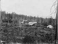 Log cabins - maybe Government line cabin - North of Hazelton 1913