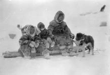 [Inuit family on trail, one dog only] Original title: Native family on trail, one dog only 1926