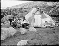 [Two Inuuk women with a dog next to a topek] Original title: Native camp Août 1931.