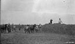 Putting up hay for Buffalo at Hay Camp 1925