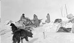 Preparing go break camp, Pugnuk and Angopkunna pack their gear neatly on the sled 16 April 1931.