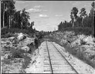 Scene along the Hudson Railway in about the region of Little Kettle Lake 1931