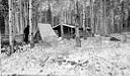 Snow fall on June 11th at Pine Lake cabin 11 June 1920.