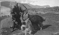 [Huskies]. Original title: Eskimo Dogs 1936