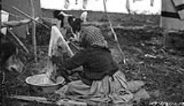 Gwichya Gwich'in woman preparing caribou hide 1921