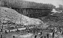 Trestle on [National] Transcontinental Railway, (over 700 feet long; 32 feet high) 1 1/2 miles West of Good Lake, North Western Ontario. Probably summer 1909 1909