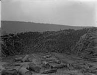 Wood at thawing plant 3 7 Aug. 1911