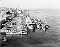 Ships of the R.C.N. alongside Jetty No. 4, H.M.C. Dockyard. (L.-R.): H.M. C. Ships Norsyd, Prince Henry, Columbia, Annapolis, Renard ca. Nov. 1941