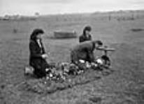 Civilians placing flowers on grave of Sergeant James Campbell of the Canadian Army Film and Photo Unit 22-Jul-44