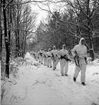Infantrymen of The Queen's Own Rifles of Canada, who are wearing British winter camouflage clothing, on patrol near Nijmegen, Netherlands, 22 January 1945 January 22, 1945.