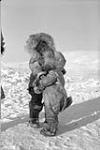 Eskimos in the Coppermine Region 1949.