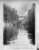 On Head waters of Sturgeon River, [Nipissing District, Ont., 1897] 1897