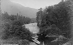Sautauriski River [Quebec] [1880-1890]