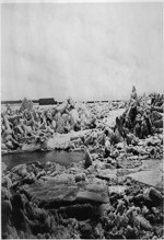 Ice shove on the St. Lawrence 1865