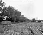[View in rear of Baxter property, Ottawa.] [June 1902]