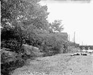[View in rear of Baxter property, Ottawa.] [June 1902]