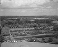 Macoun Gardens, Central Experimental Farm 28 June 1961