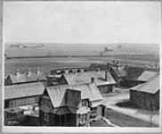 Barns at Central Experimental Farm ca. 1920s